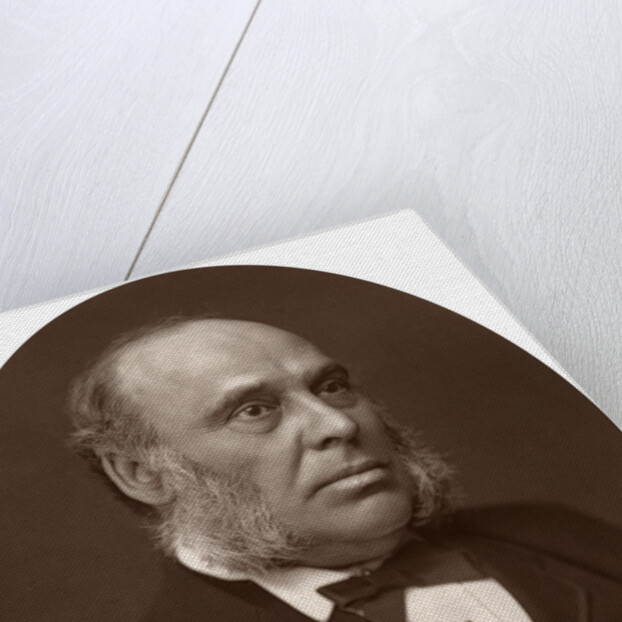 The Right Hon William Henry Smith, MP by Anonymous