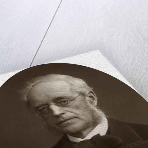Sir Henry Cotton, Lord Justice of Appeal by Lock & Whitfield