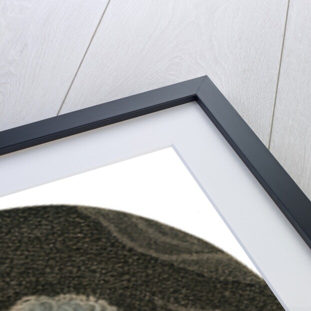 James Boswell, 9th Laird of Auchinleck, 18th century Scottish lawyer and diarist by Anonymous