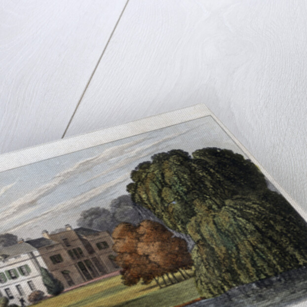 Mitcham Grove, Surrey, the seat of Henry Hoare by Anonymous