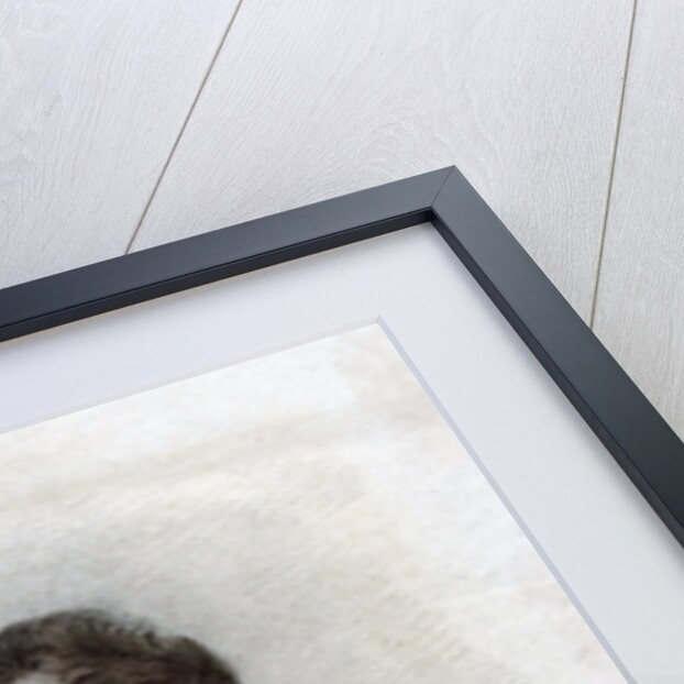 Henry William Paget, 1st Marquess of Anglesey, British soldier by Thomson