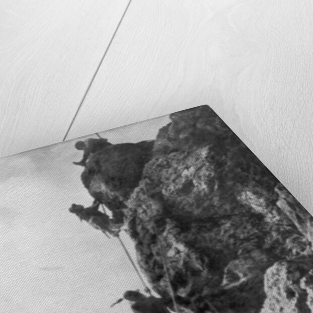 Mount Nero, Karst plateau, Second Battle of the Isonzo, World War I by Anonymous