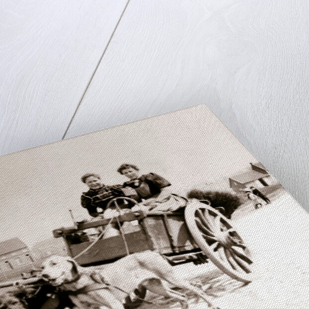 Dogs pulling women on a cart, Antwerp by James Batkin