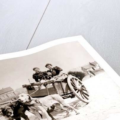 Dogs pulling women on a cart, Antwerp by James Batkin