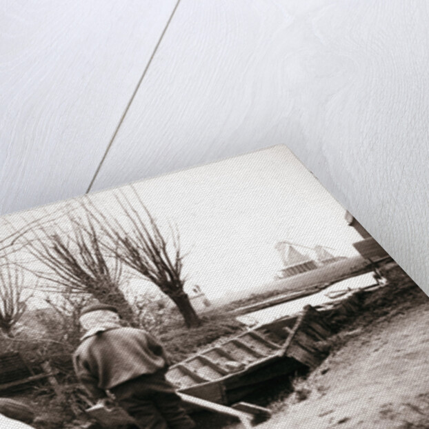 Children, Laandam, Netherlands by James Batkin