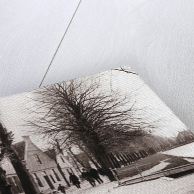 Canal bank, Broek, Netherlands by James Batkin