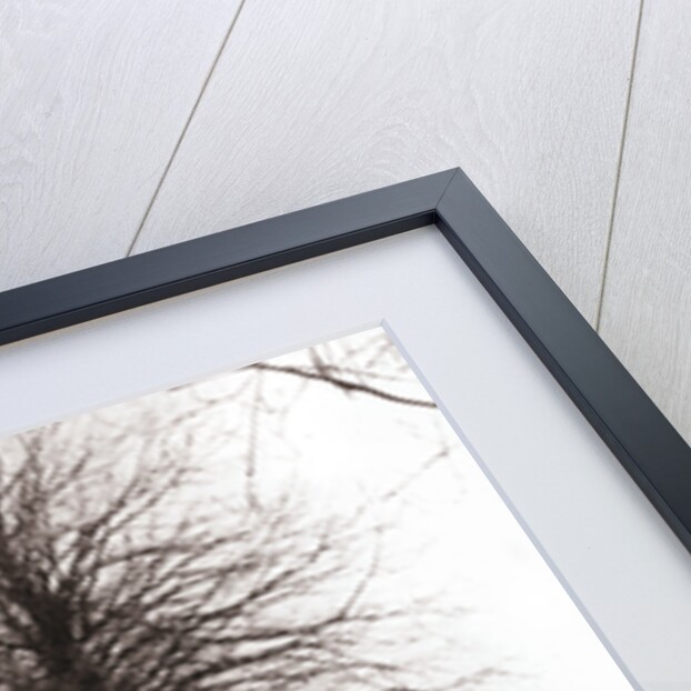 Canal bank, Broek, Netherlands by James Batkin