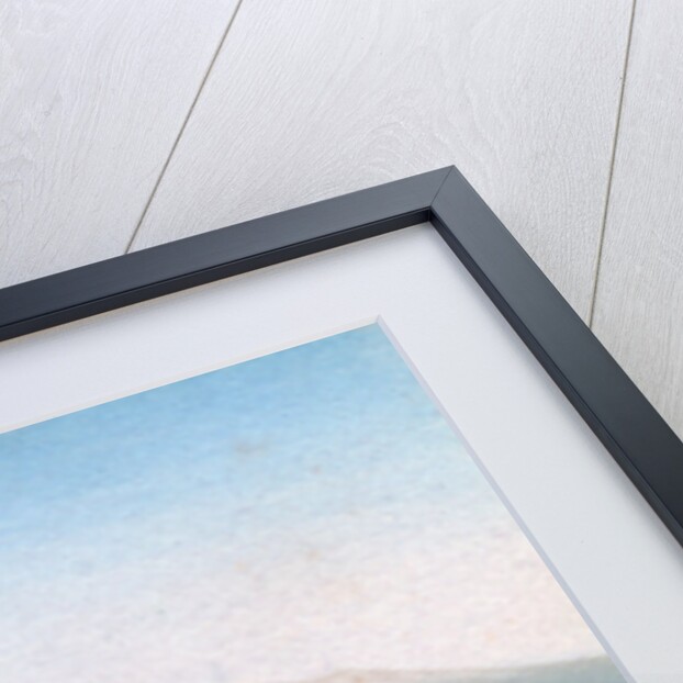 Mount Fuji, Japan by Anonymous