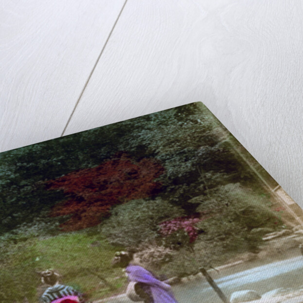 Garden, Japan by Anonymous