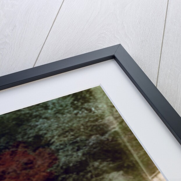 Garden, Japan by Anonymous