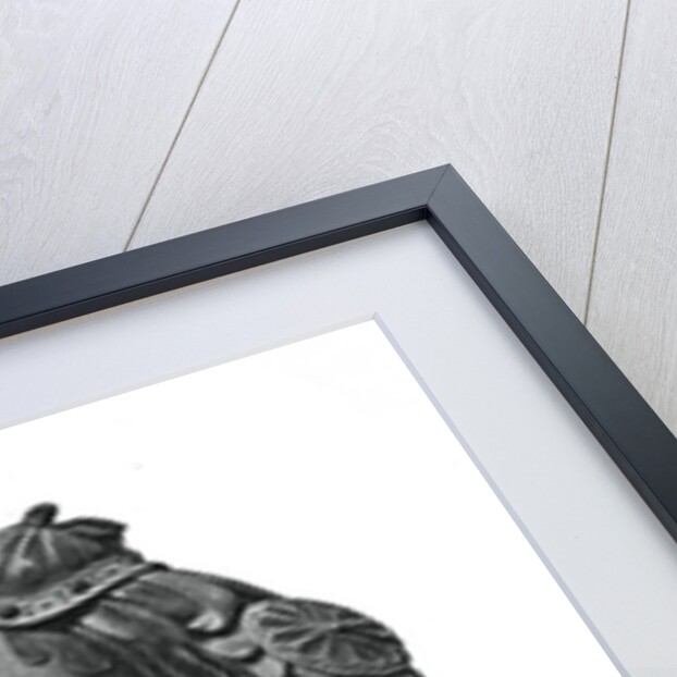 Theodoric, King of the Ostrogoths by Anonymous