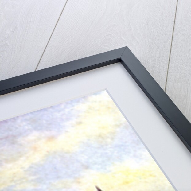 The Houses of Parliament from Lambeth Palace, Westminster, London by Anonymous