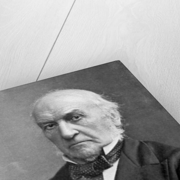 William Ewart Gladstone, 19th century British Liberal statesman and prime minister by London Stereoscopic & Photographic Co