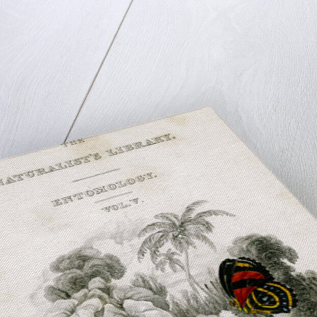 'The Naturalist's Library, Entomology, Vol V', Butterflies by William Home Lizars