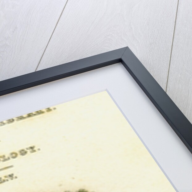 The Naturalist's Library, Ornithology Vol V, Ring Pigeon by William Home Lizars