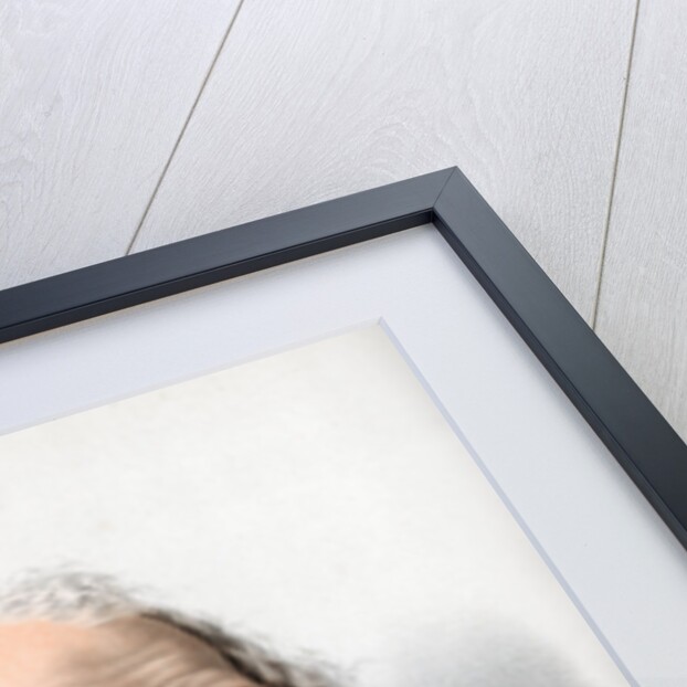 John Russell, 1st Earl Russell, English Whig and Liberal politician by Cassell