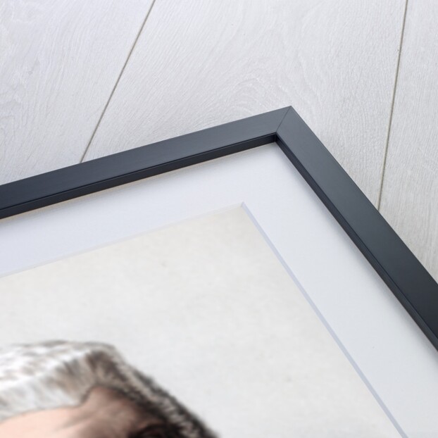 Hugh NcCalmont Cairns, 1st Earl Cairns, Lord Chancellor of Great Britain by Cassell