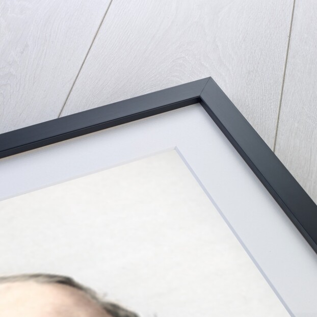 Alfred Tennyson, 1st Baron Tennyson, English poet by Cassell