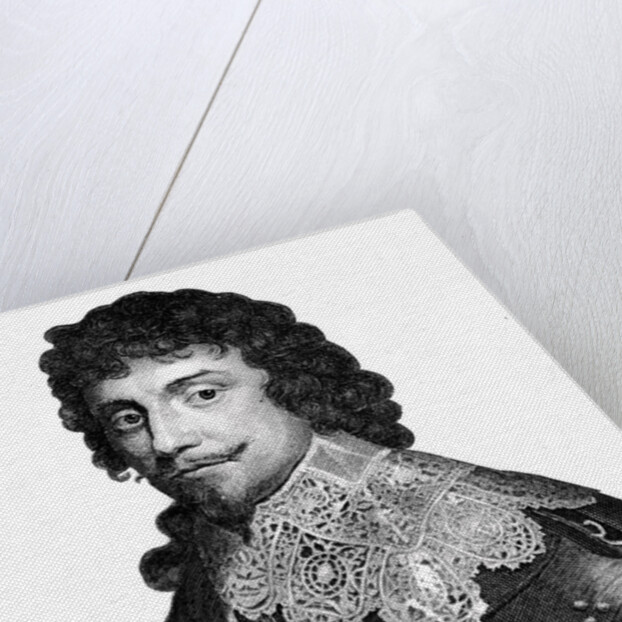 Frederick V, King of Bohemia from 1619-1620 by Anonymous