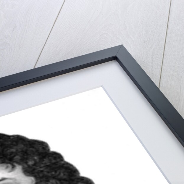 Frederick V, King of Bohemia from 1619-1620 by Anonymous