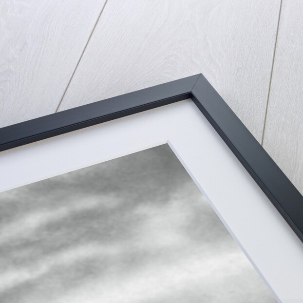 Six metre R class sailing, Berlin Olympics by Anonymous