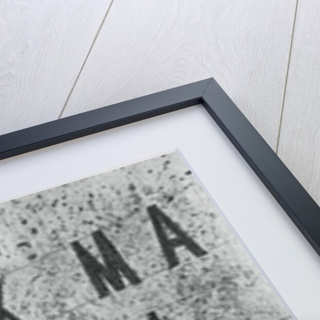 Berlin Olympics by Anonymous