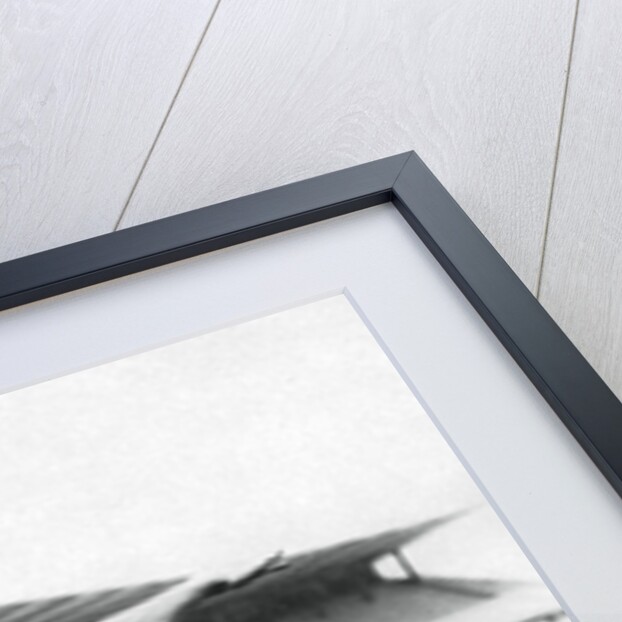 Hans Heinrich Sievert, German athlete by Anonymous