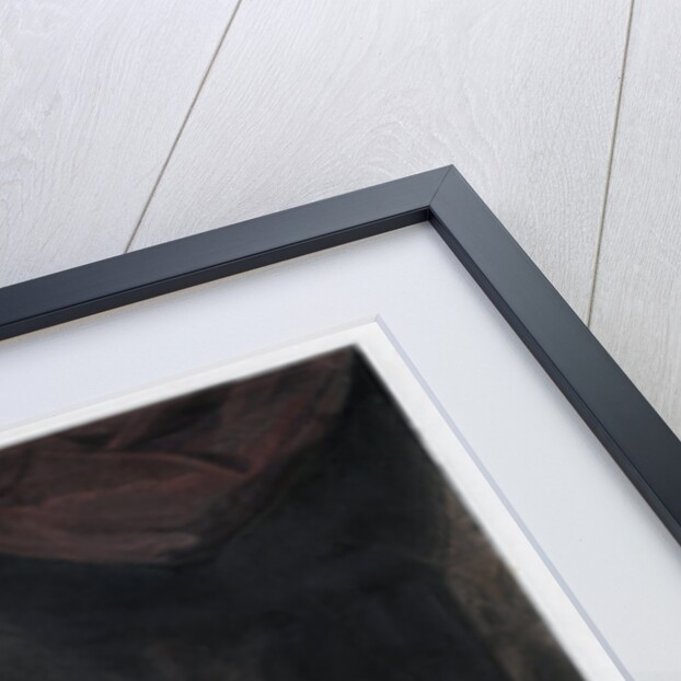 George III, King of Great Britain and Ireland by Samuel William Reynolds