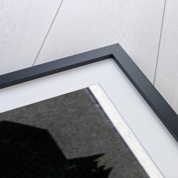 Charlie Chaplin, British film actor and director by Alick P F Ritchie