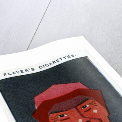 Stephen Donoghue, Jockey and trainer by Alick P F Ritchie