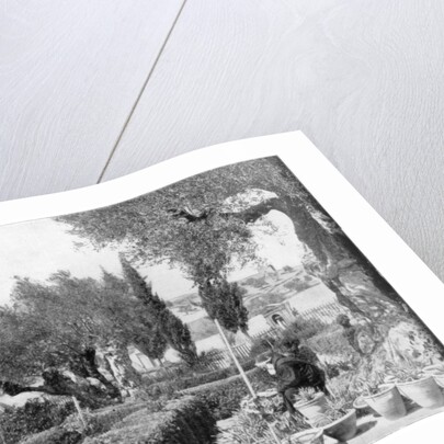 The Garden of Gethsemane, Palestine by John L Stoddard