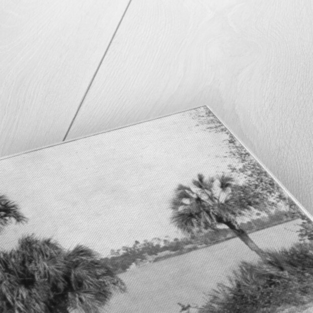 Indian River, Florida by John L Stoddard