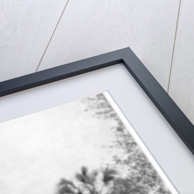 Indian River, Florida by John L Stoddard