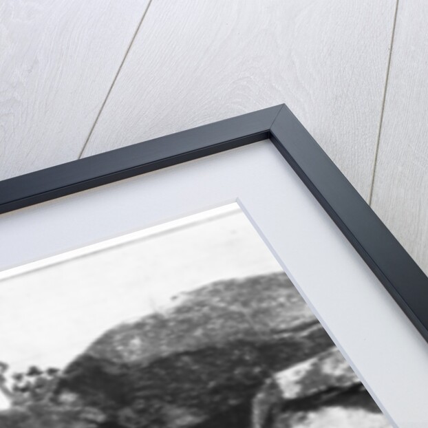 Glacier Point, Yosemite Valley, California, USA by John L Stoddard