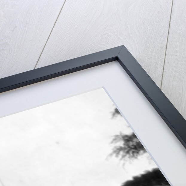 Royal Palace, Honolulu, Sandwich Islands by John L Stoddard