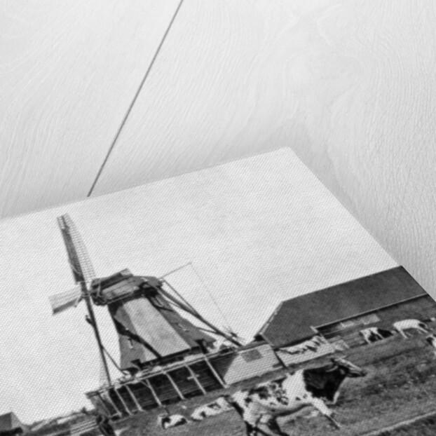 Dutch windmills, Holland by John L Stoddard