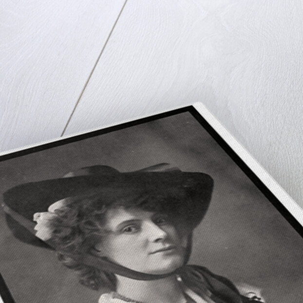 Mrs T Eyre Macklin by David Blount