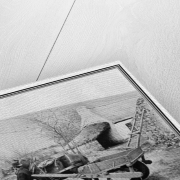 Old Irish Low-Back Car by R Welsh