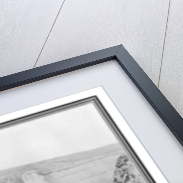 Old Irish Low-Back Car by R Welsh