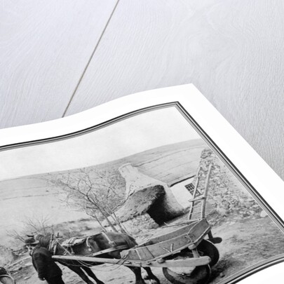 Old Irish Low-Back Car by R Welsh