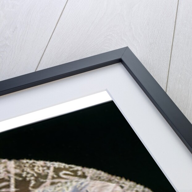 Fan by Duvelleroy by Jean Malvaux