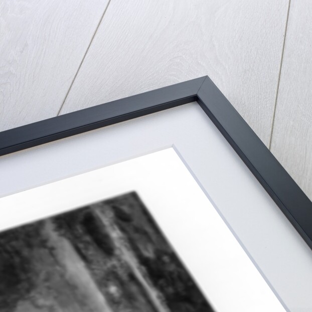 Fredrick Great Concert At Sanssouci by Adolph Menzel