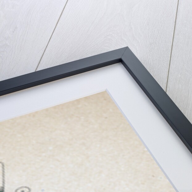 Harlequin by Henry Gerbault