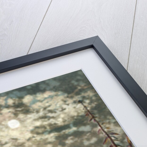 Temple of the Giants, Sicily by Anonymous