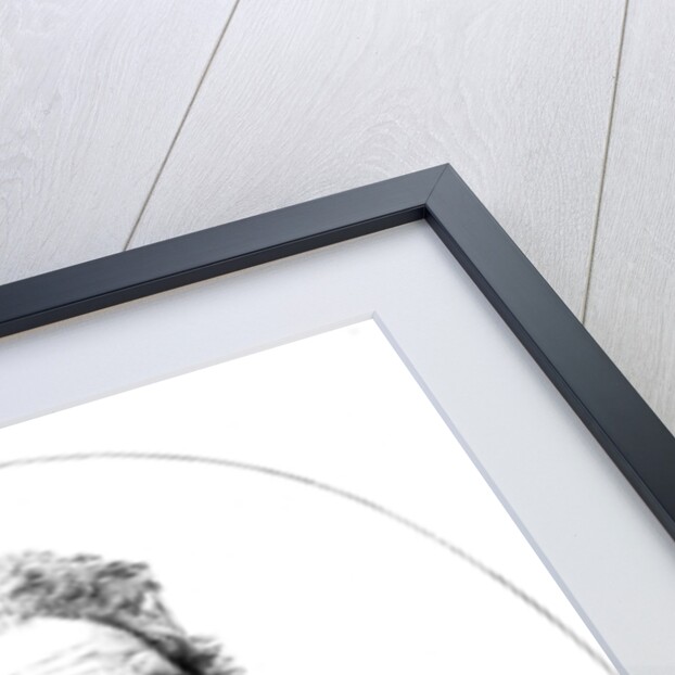 Lord Palmerston by Anonymous