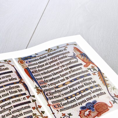 Page of illustrated text from the Luttrell Psalter, c1300-c1340, (c1900-1920) by Anonymous