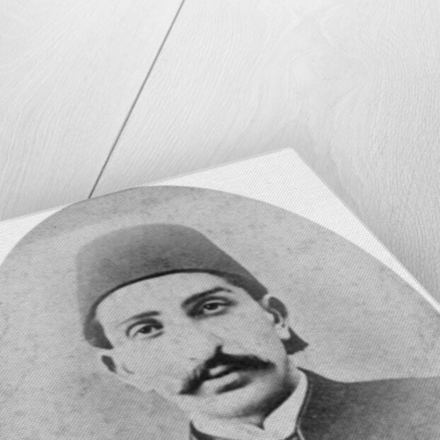 The Sultan of Turkey by London Stereoscopic & Photographic Co