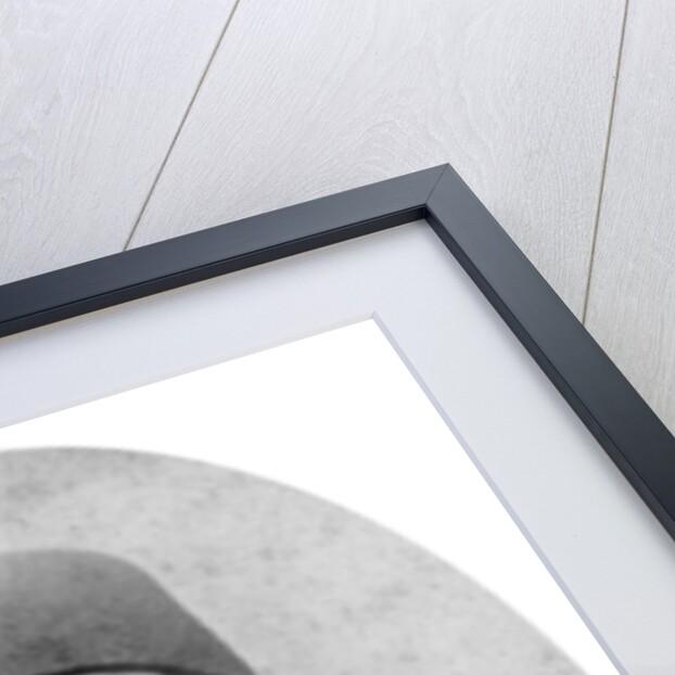 The Sultan of Turkey by London Stereoscopic & Photographic Co