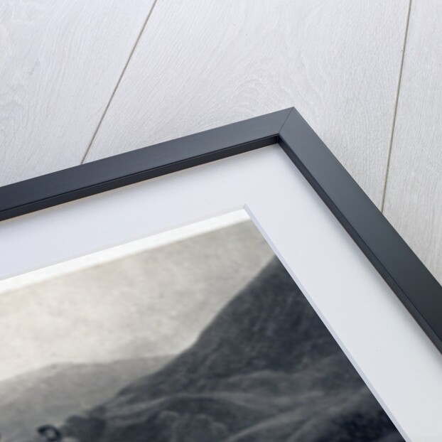 Prince Albert stag hunting by Edwin Henry Landseer