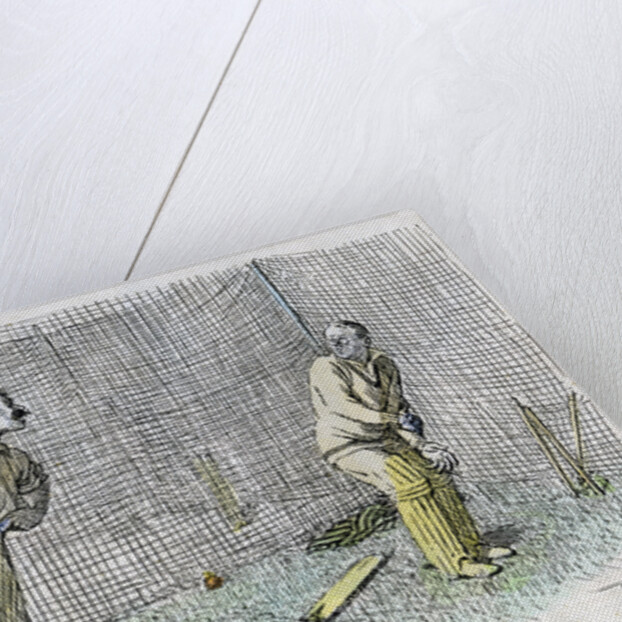 Cricket by Anonymous